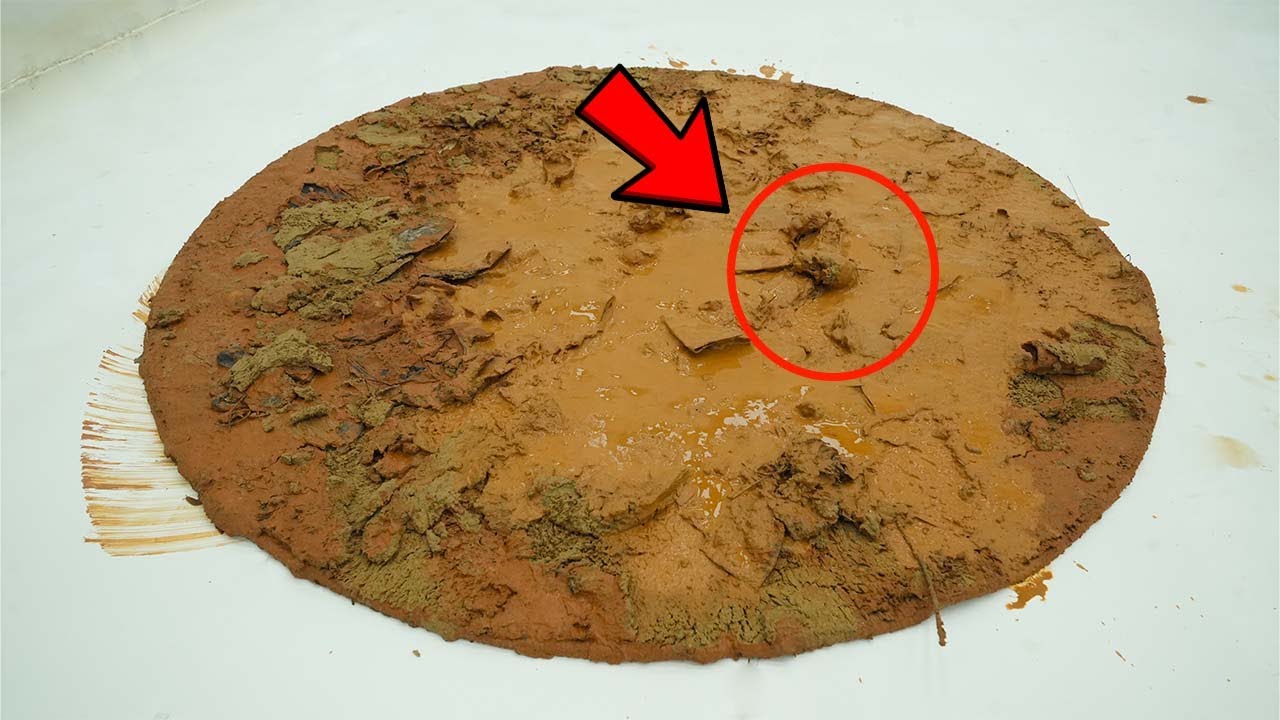 Carpet Soaked in Oil and Dust – Can ASMR Cleaning Bring It Back? | Carpet Cleaning ASMR