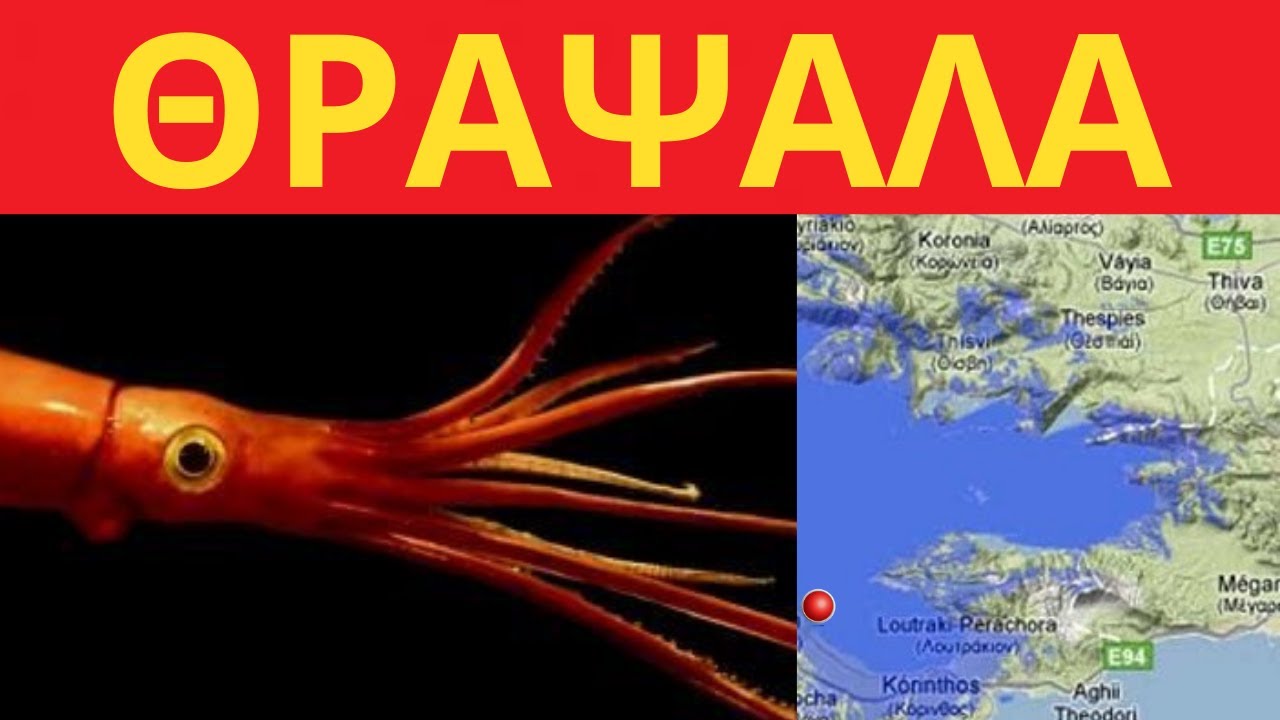 ΨΑΡΕΜΑ ΣΤΟΝ ΚΟΡΙΝΘΙΑΚΟ ΚΟΛΠΟ - ΘΡΑΨΑΛΑ ΚΑΙ ΣΑΦΡΙΔΙΑ - 2021