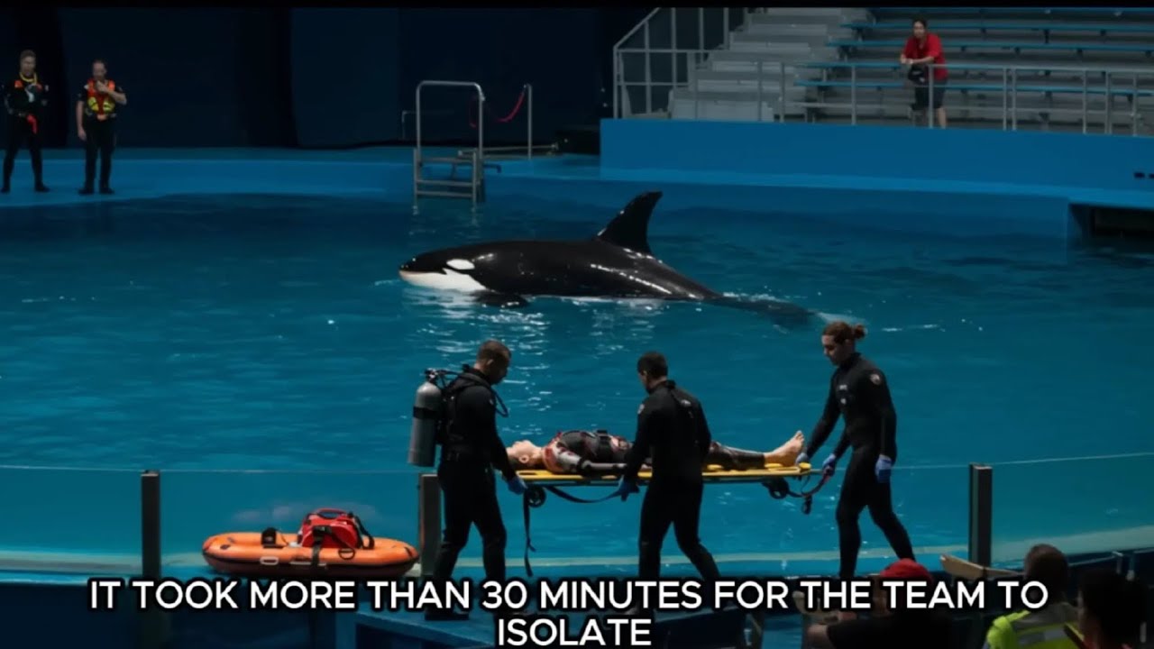 jessica radcliffe orca video | orca trainer jessica radcliffe lorca killed trainerljessica radcliffe
