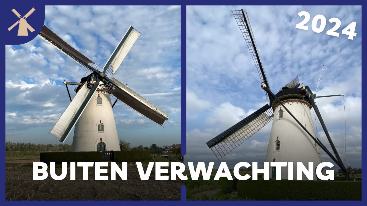 Jaaroverzicht 2024 // Buiten Verwachting