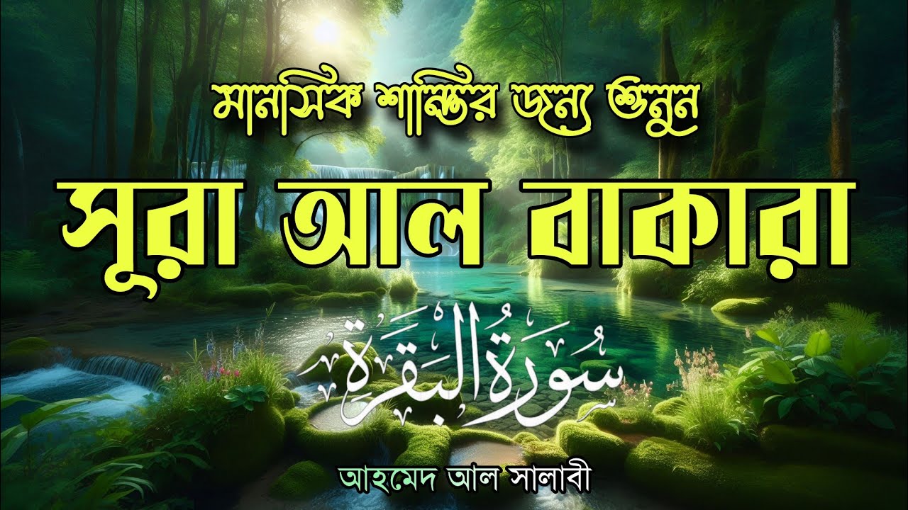 ঘরে শান্তি, নিরাপত্তা ও বরকতের জন্য শুনুন সূরা আল-বাকারা | Quran Recitation by ahmed al shalabi
