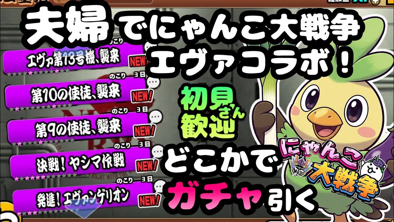 エヴァコラボステージ　【初見さん大歓迎】夫婦実況+リアルにゃんこでまったりにゃんこ大戦争・雑談🐾ライブ配信#117 #にゃんこ大戦争 #縦型配信 #ライブ配信 #shorts #shorts #初見