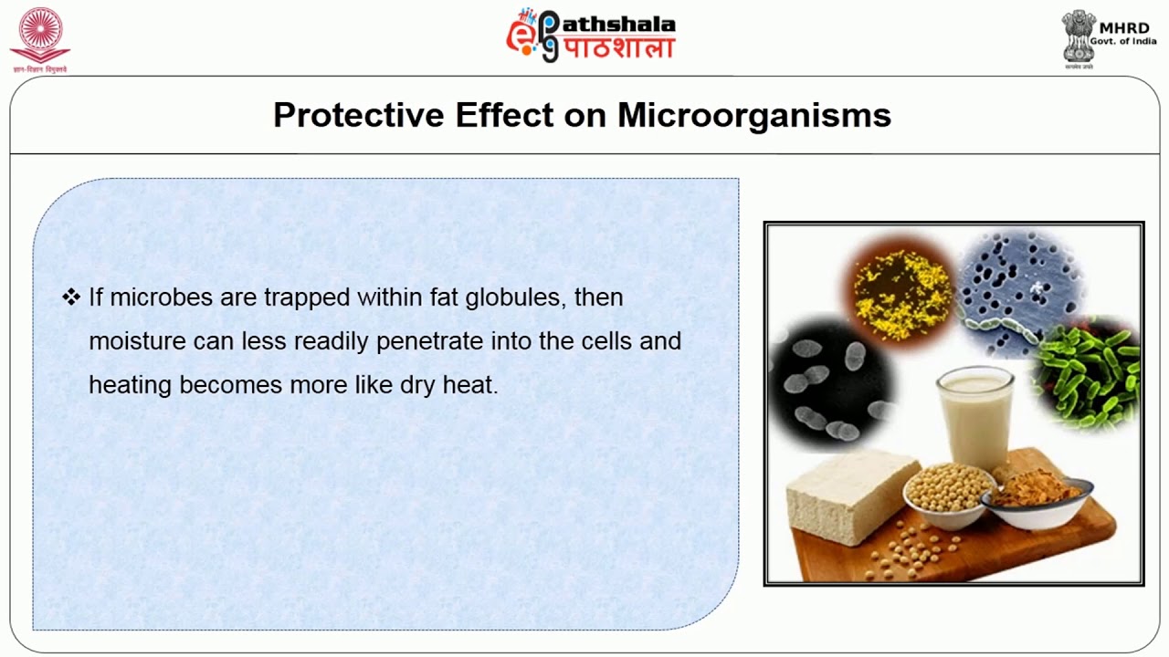 Thermal Processing