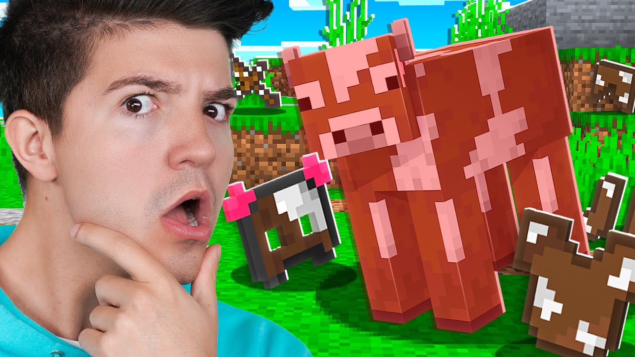 Minecraft But Mobs Drop Their Armor!