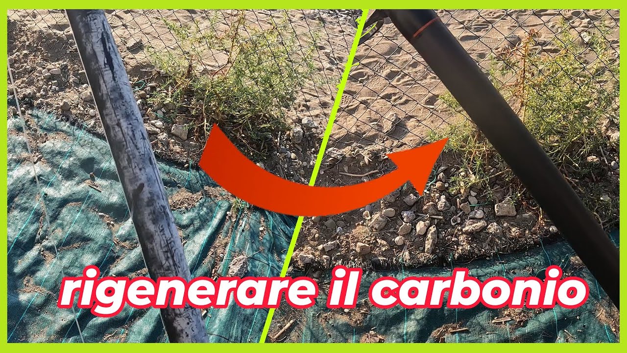 come rigenerare le canne da pesca