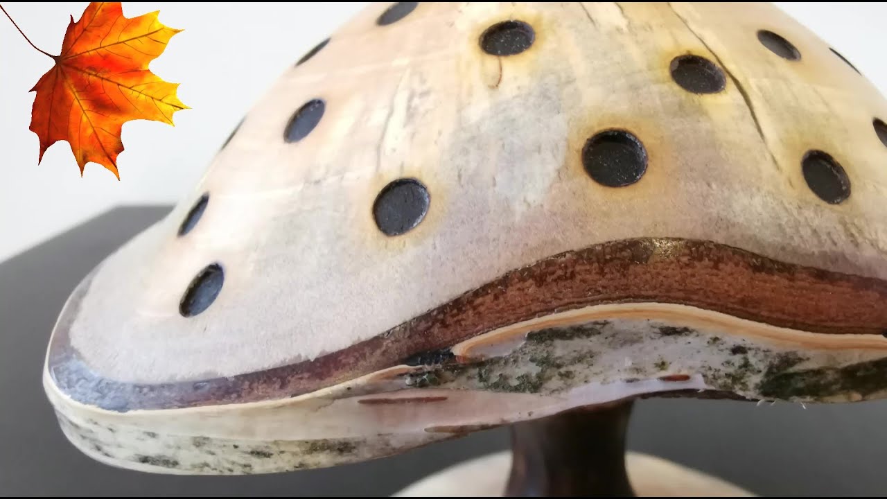 woodturning:mushroom with natural edges in a heated birch log