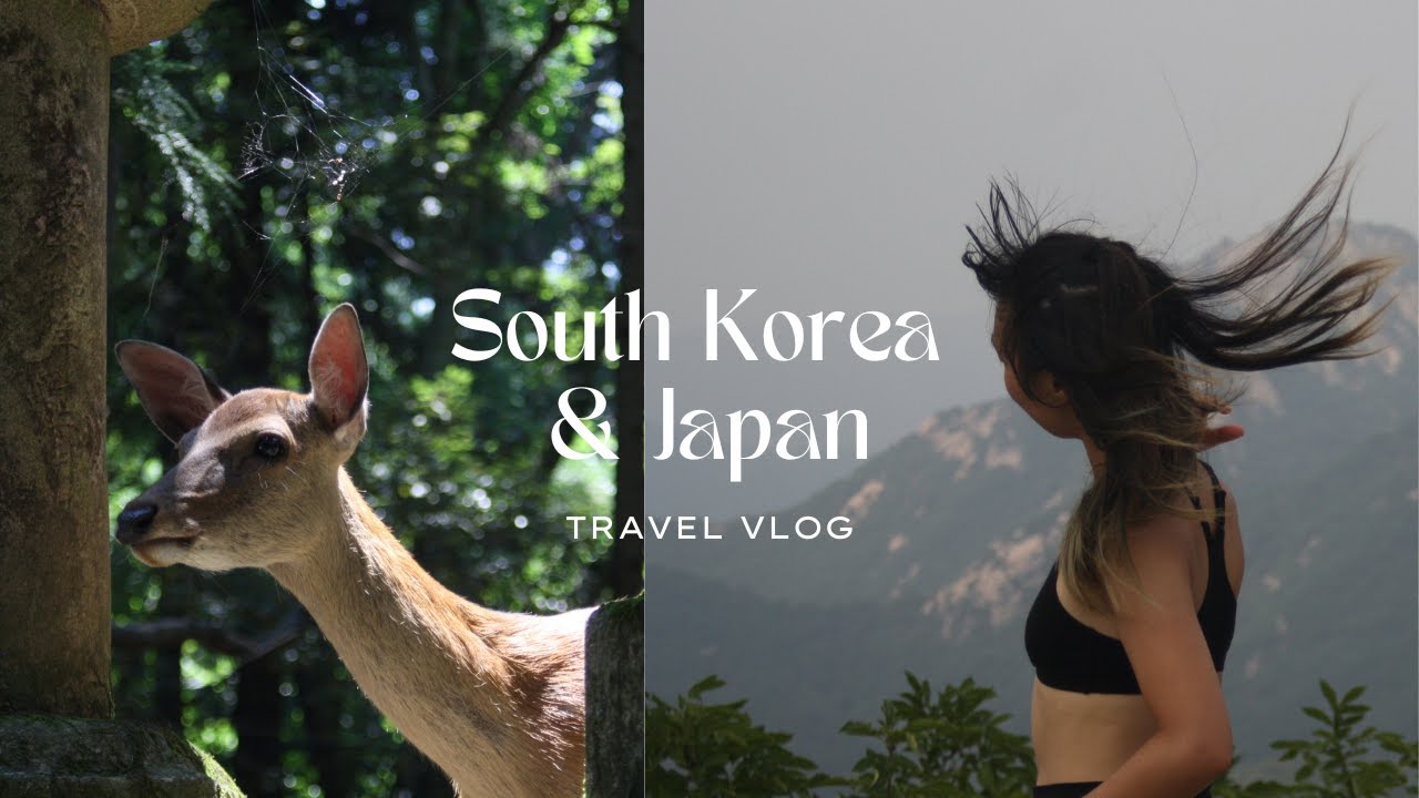 TRAVEL DIARIES ✈️ First time visiting South Korea and Japan with my sister