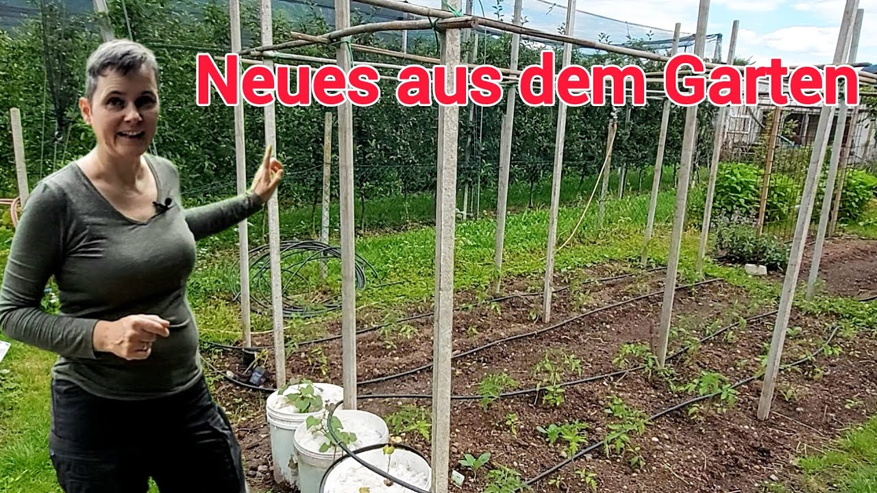 Gartenrundgang Frühjahr 2025 Neuer Beerengarten und mehr Platz für Gemüse