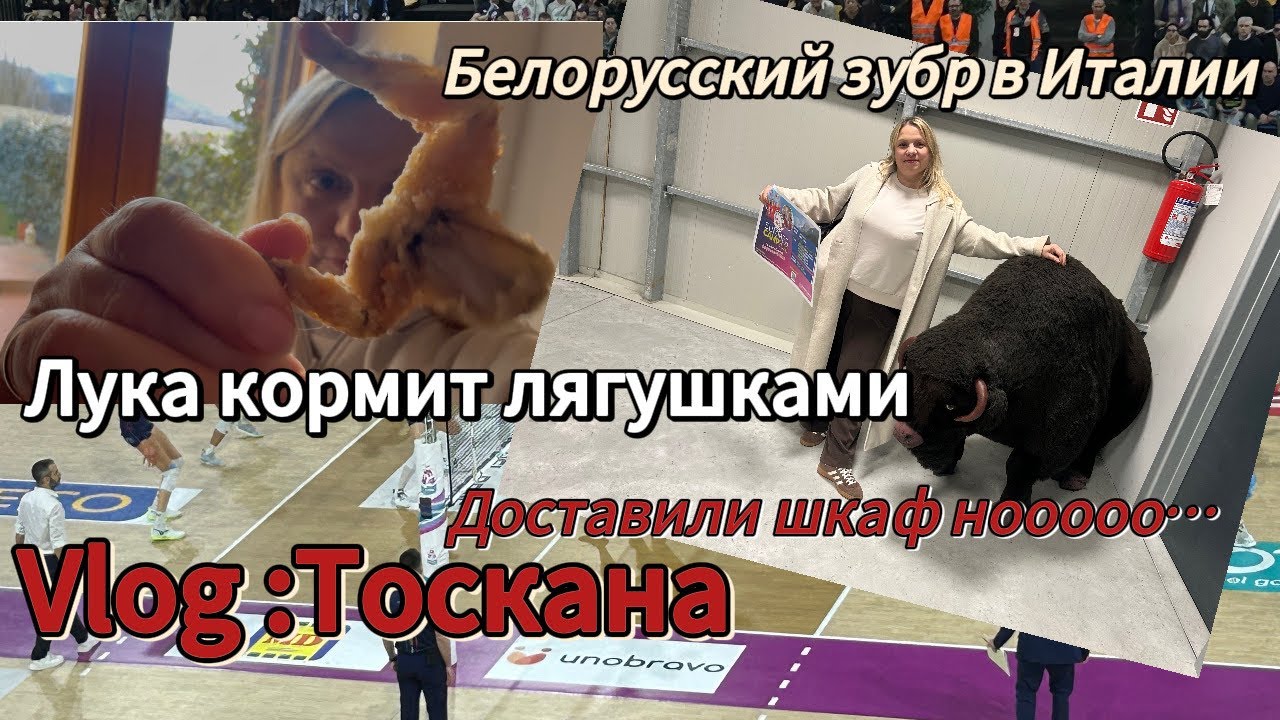 #vlog Италия🇮🇹#пробую лягушек#чемпионы мира#шкафнеполучился