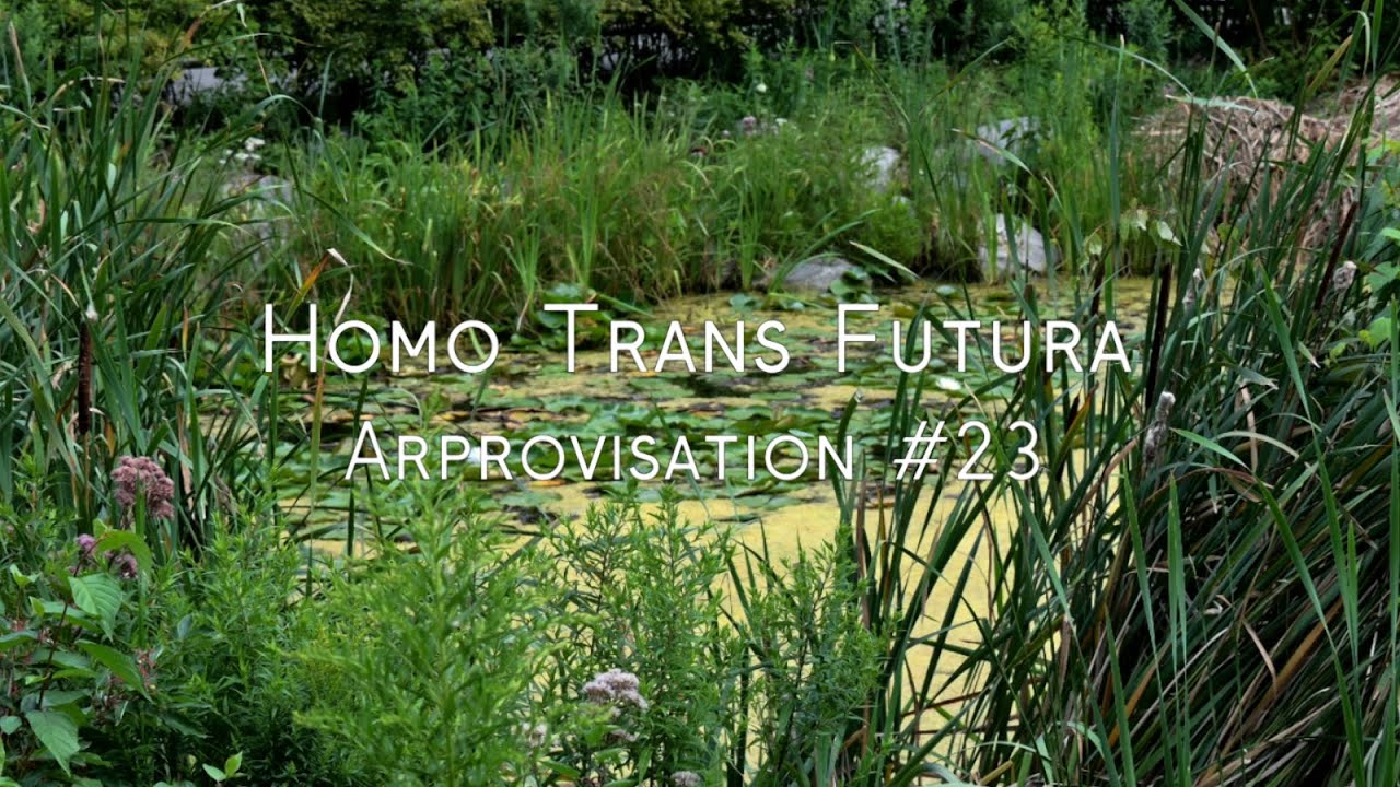 Homo Trans Futura 
