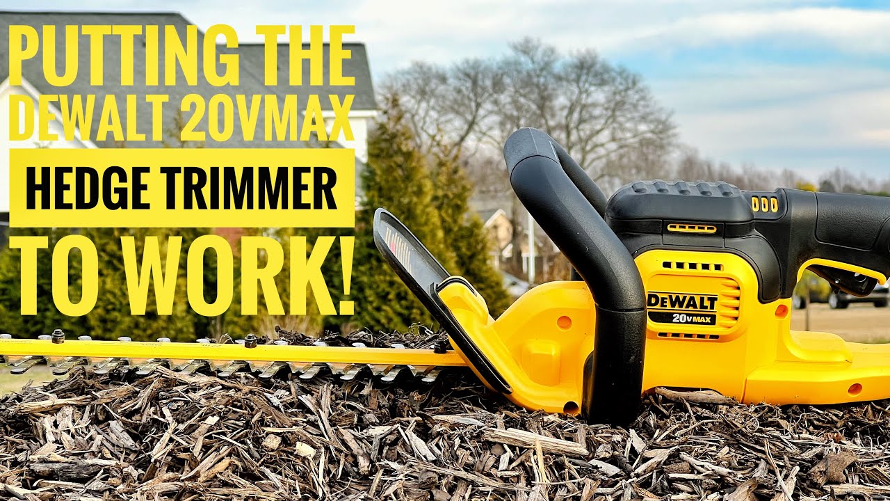 Putting the Dewalt 20V Max Hedge Trimmer to work // Review from The Garden Canvas