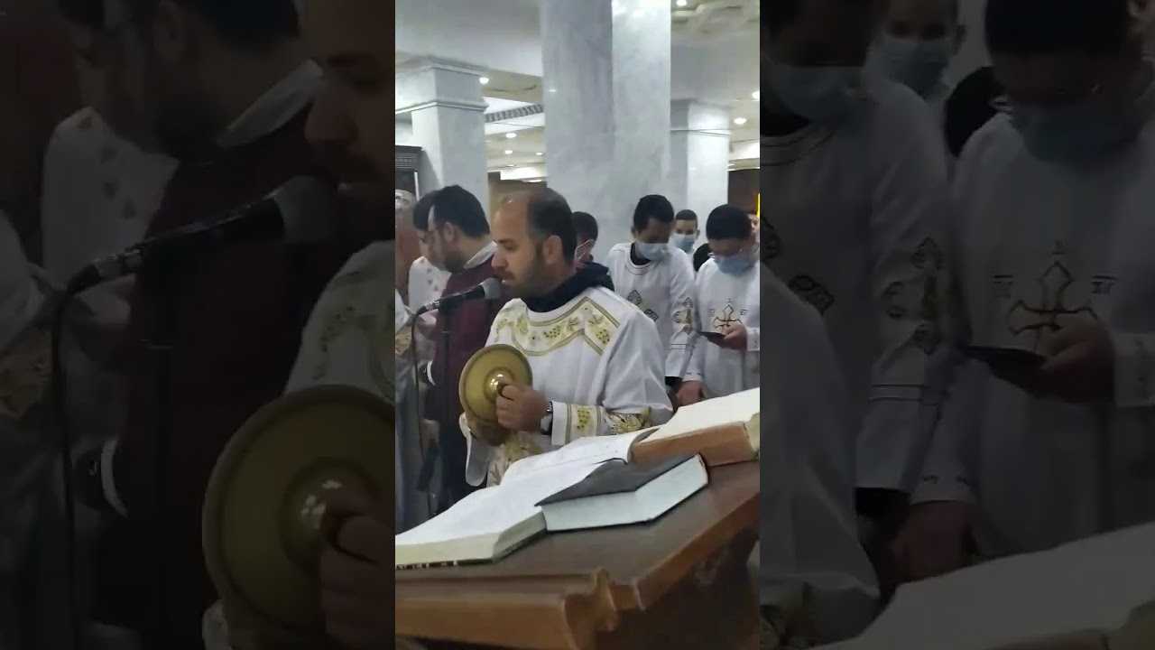 مرد الابركسيس الكبير - المعلم باسم ويصا