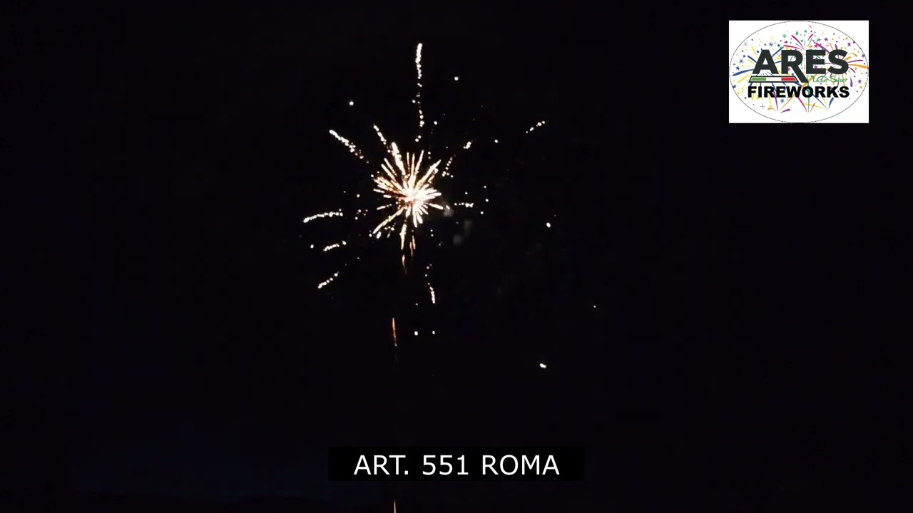 ART  551 ROMA
