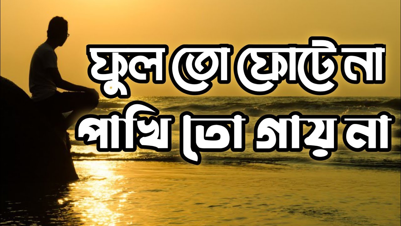 ফুল তো ফোটে না গাখি তো গায় না | Bangla New Music Video #bangla_music_video #song 