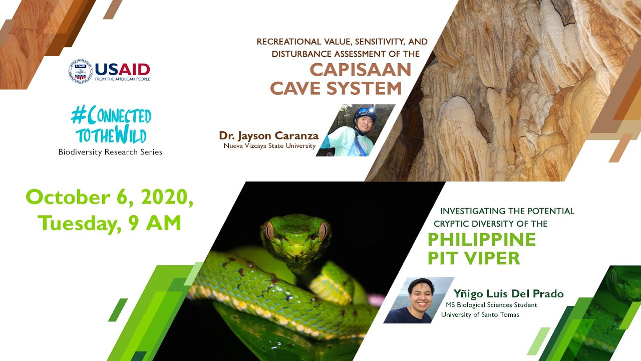 Capisaan Cave System and Philippine Pit Viper