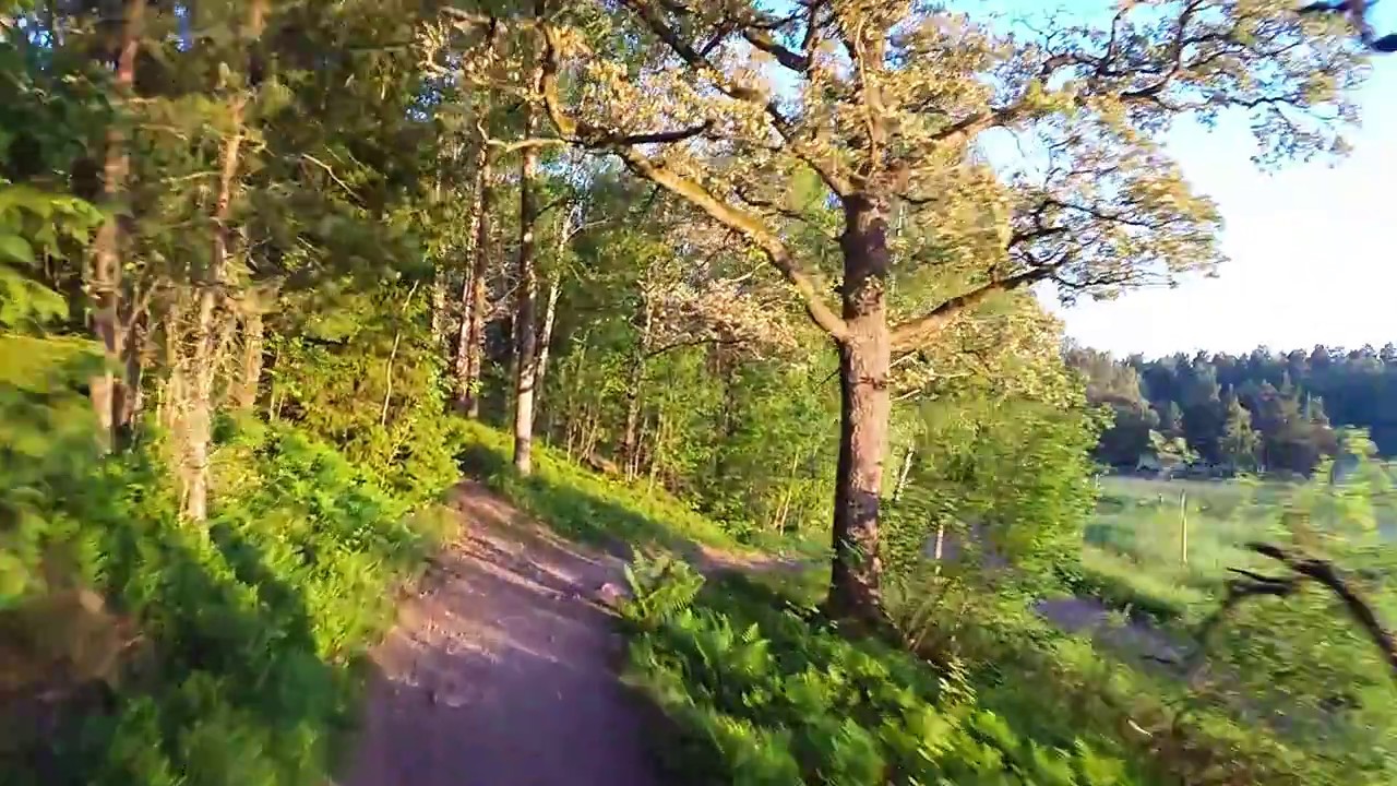 Lidingöloppet (unedited)