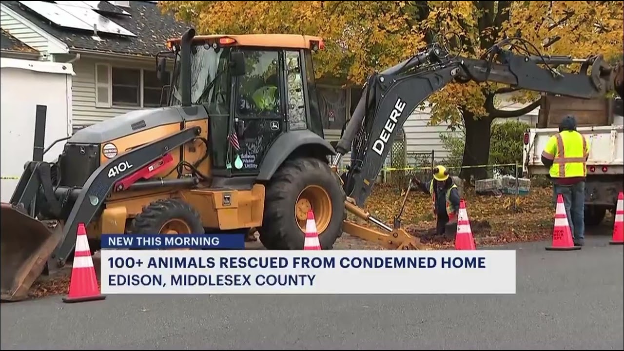 News12 NJ -  Edison Animals Rescued in Condemned Home