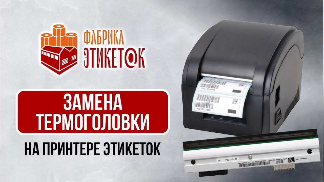 Замена термоголовки на принтере TSC TE 200  Пошаговая инструкция