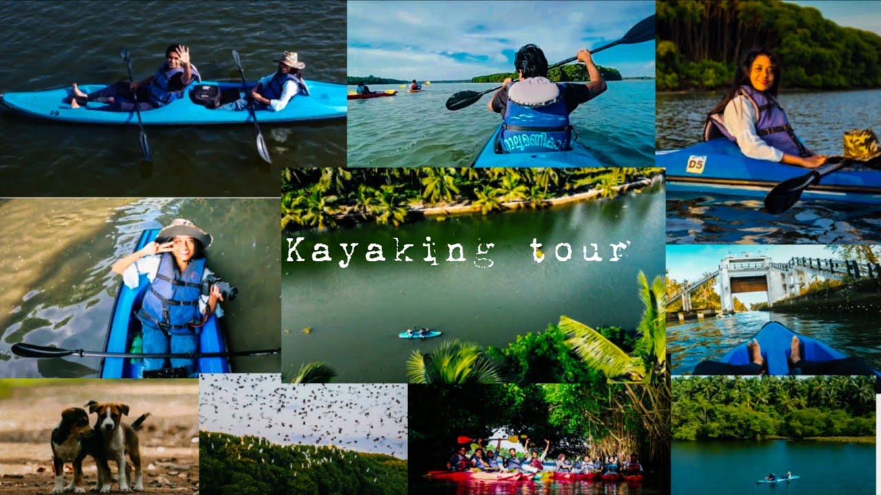 Nalumanikattu Kayaking Tour | Chettuva Mangrove forest | Chavakkad | Places to visit in Thrissur |