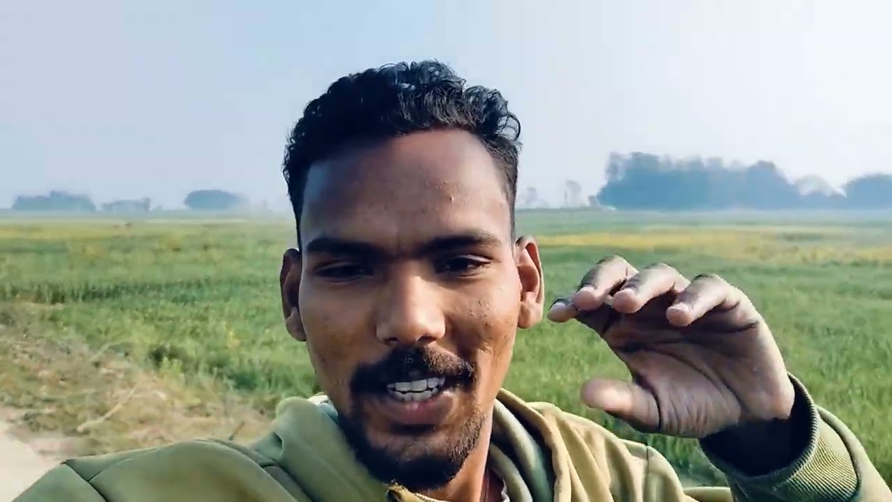 सुबह की ताज़ी हवा और हरे-भरे खेत !! #minivlog #vlog 