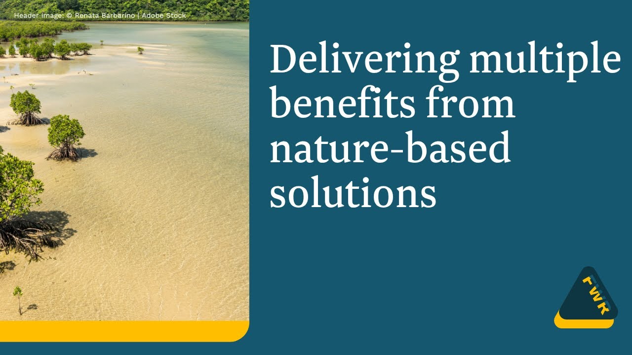 FWR webinar: Delivering multiple benefits from nature-based solutions