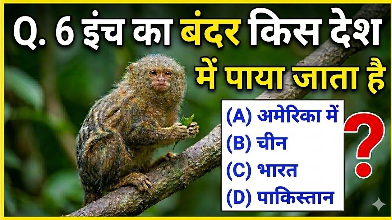 दुनिया का सबसे छोटा बंदर 🐒 | 6 इंच का बंदर किस देश में पाया जाता है? | GK Quiz in Hindi | #GKQuiz