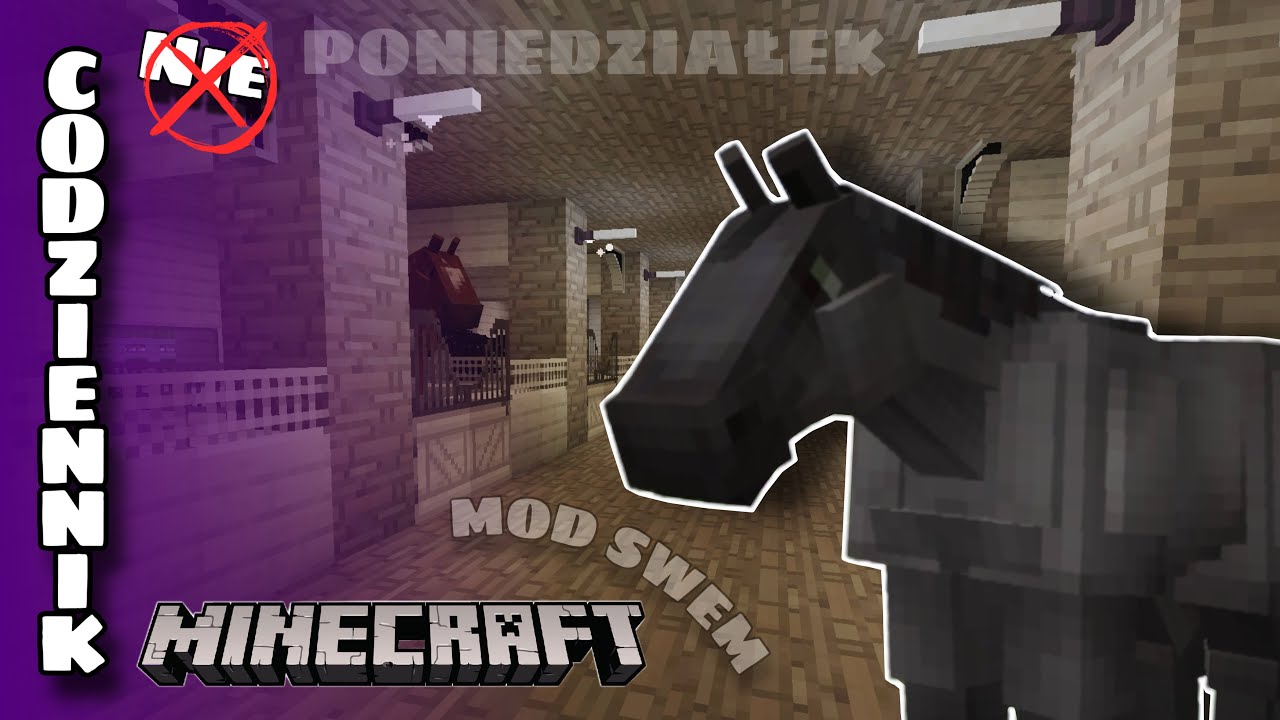 NIECODZIENNIK || PO CO NAM TYLE KONI?!  || MINECRAFT MOD SWEM || PONIEDZIAŁEK 6.01.2025