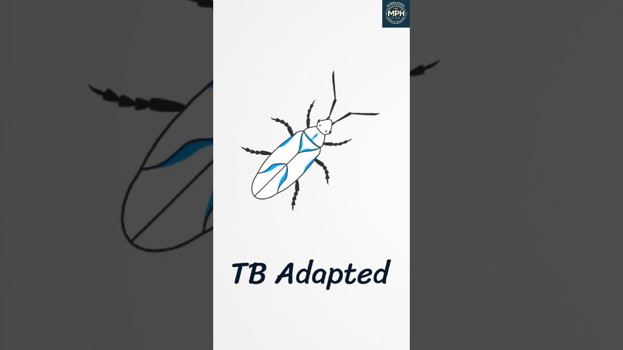 TB's Back! The Drug-Resistant Killer You Need to Know About #drugresistance #globalhealth