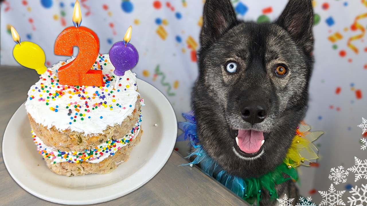 How To Make a Apple Chicken Birthday Cake For Dogs 🎂 DIY Dog Treats