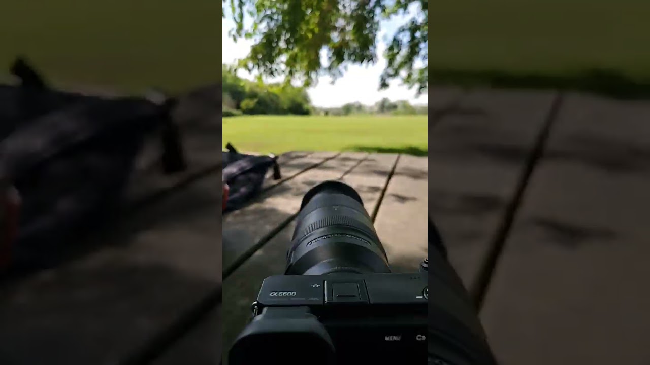 Super Zoom Lens Sony 70-350mm OSS (a6600) 