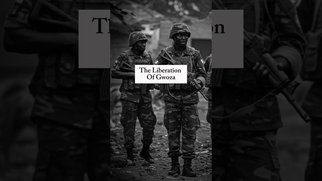 The Nigerian Army's Boldest Gamble: Operation Lafiya Dole, #nigeria #nigeriaarmy #terrorism #war