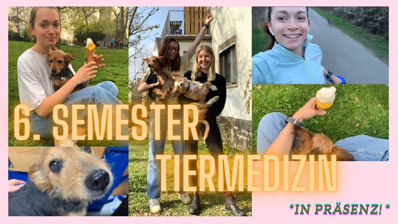 Sommersemester, die erste Woche in Pr&auml;senz! // TIERMEDIZIN