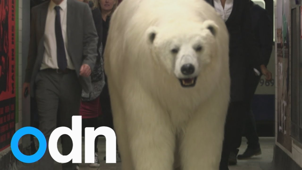 Giant polar bear spotted in London
