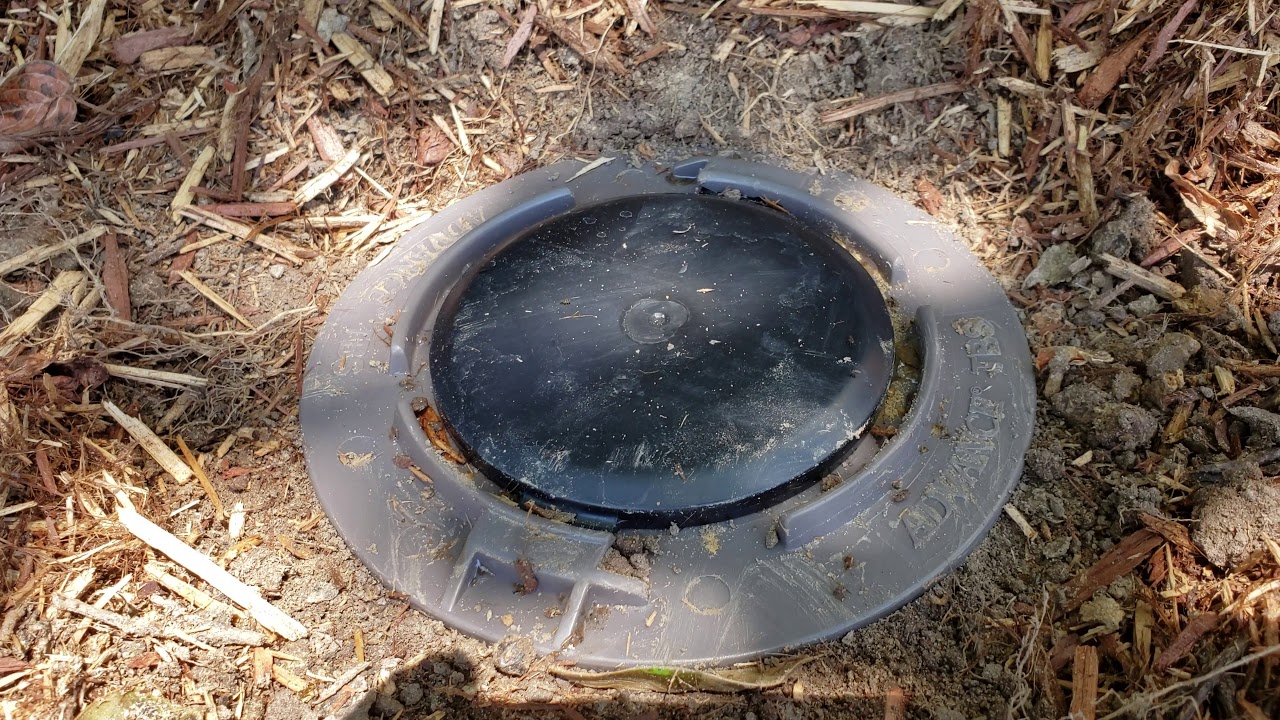 Keeping up with Terminix termite bait traps