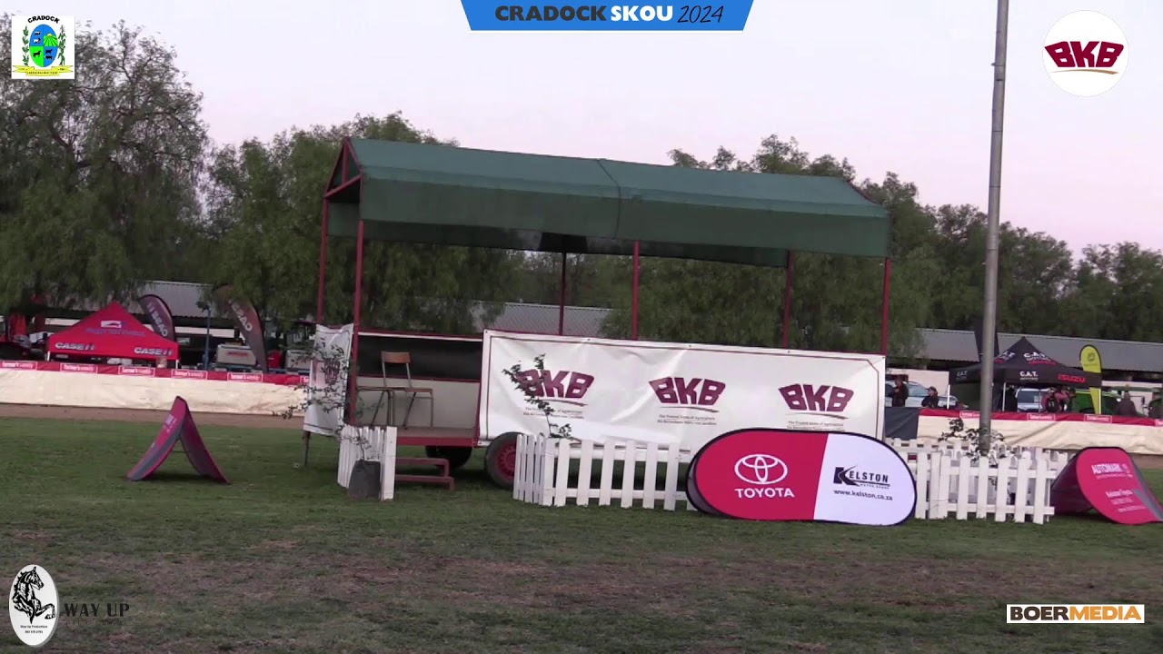 Vrydagmiddagsessie  - Cradock Skou - Kyk saam met ons na die pragtige perde by Cradock Skou.