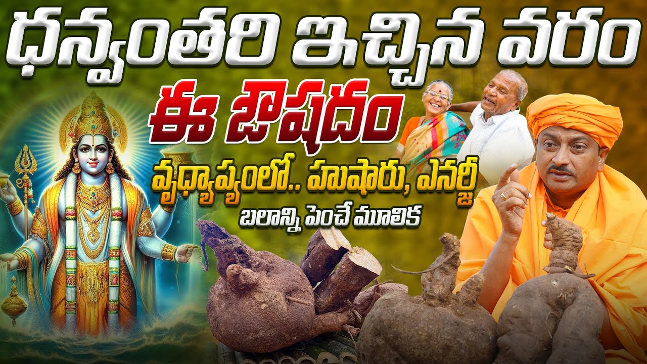 ధన్వంతరి ఇచ్చిన వరం ఈ ఔషదం, వృధ్యాప్యంలోఎనర్జీ బలాన్ని పెంచే మూలిక | Ravivarma | AYUR MANTRA