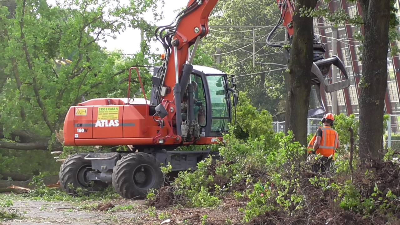 bouw parkeergarage station Wijchen deel 3 / bomen kappen (2)