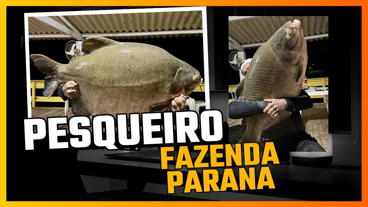 Pesqueiro Fazenda Paraná / PESCARIA COM MUITA CHUVA /