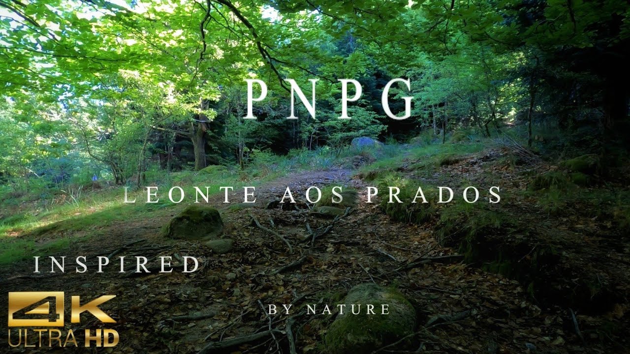 HIKING: Get inspired by walking through the Peneda-Gerês National Park [4K] - # Complete Adventure