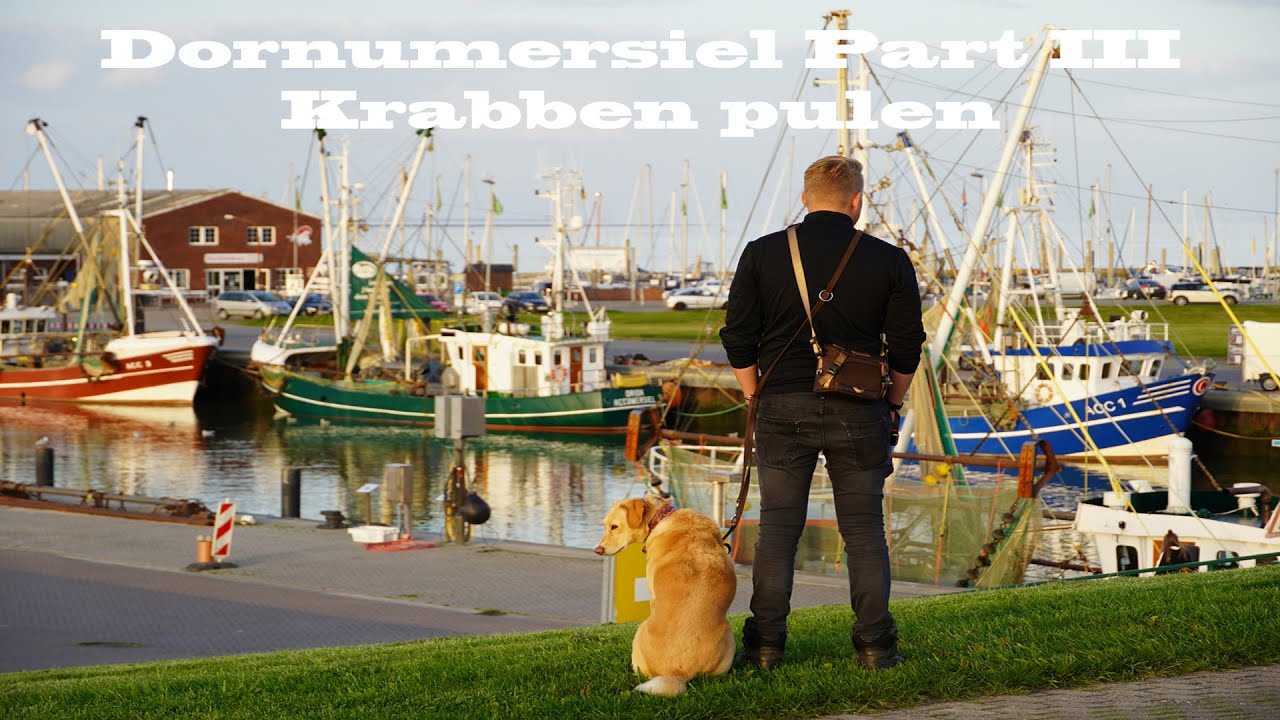 Dornumersiel | KRABBEN PULEN mit Jenny! | VAN TOUR Part III