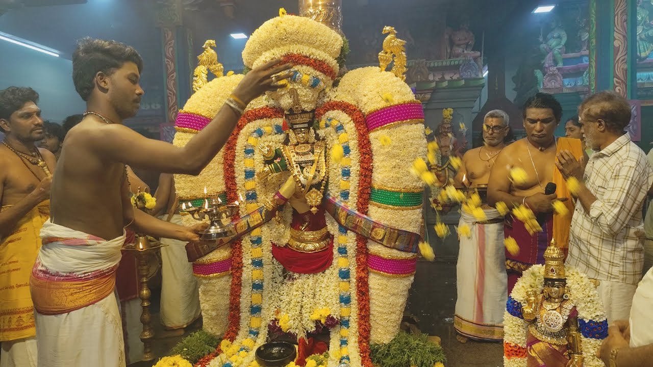 ஆருத்ர தரிசனம்/arudra darshanam 2026 #shiva #tiruvannamalai #karthikamasam #natarajar #arunachalam
