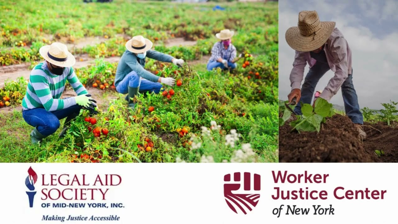 Deferred Action for Labor Enforcement