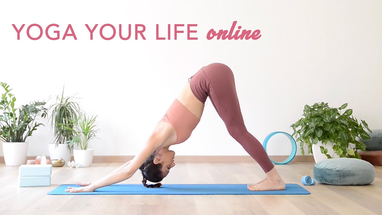 La tua scuola di Yoga online con Barbara Faludi