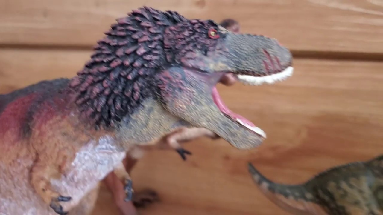 May 2020 Collection Video