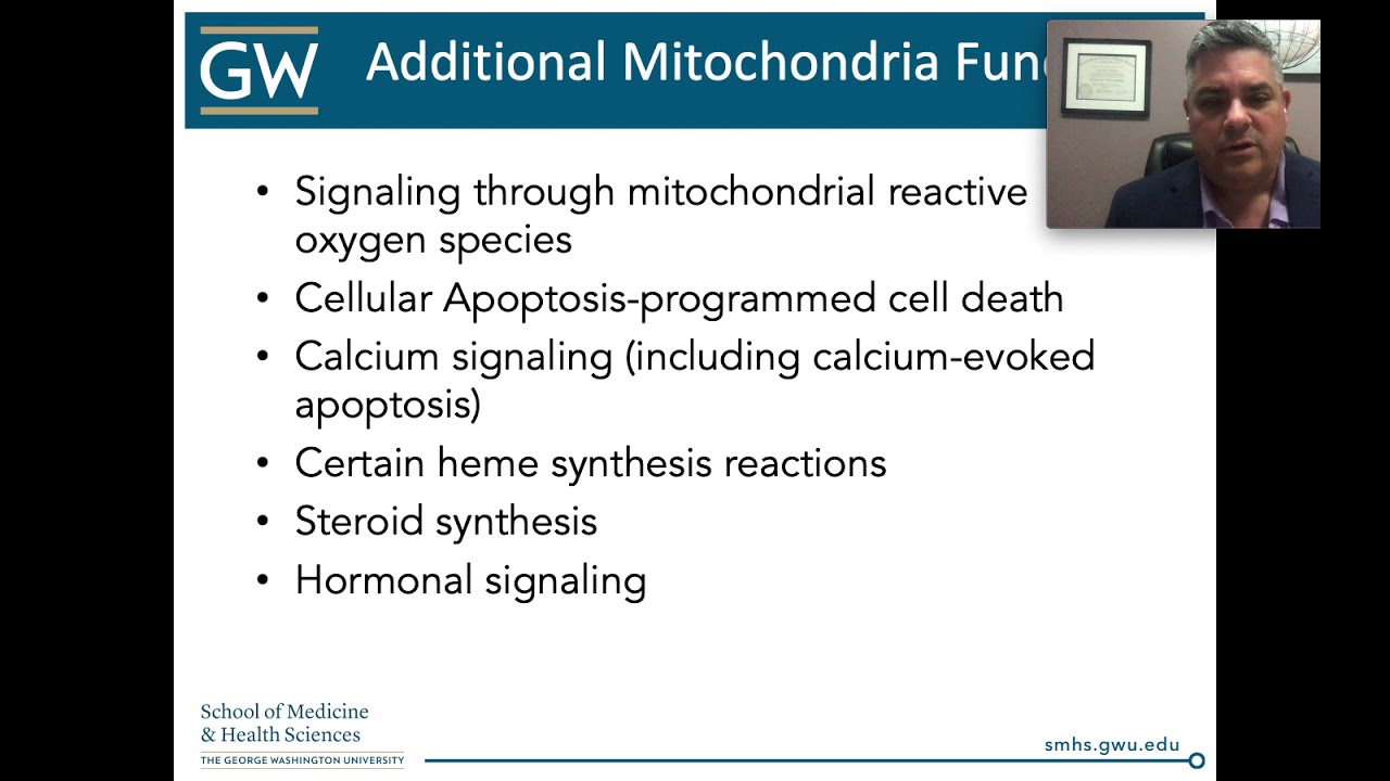 Mitochondrial: Cell Danger Response