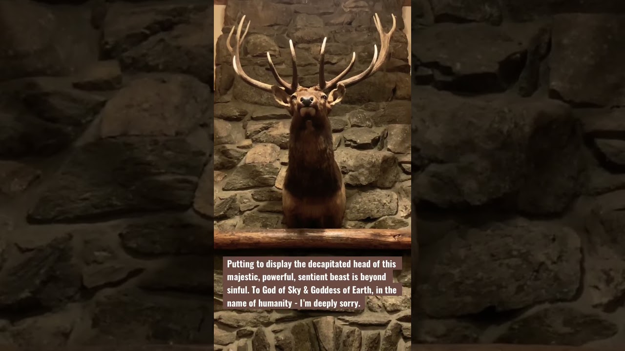 THE CRY OF THE ELK | Existential Shift Take by Morgainne
