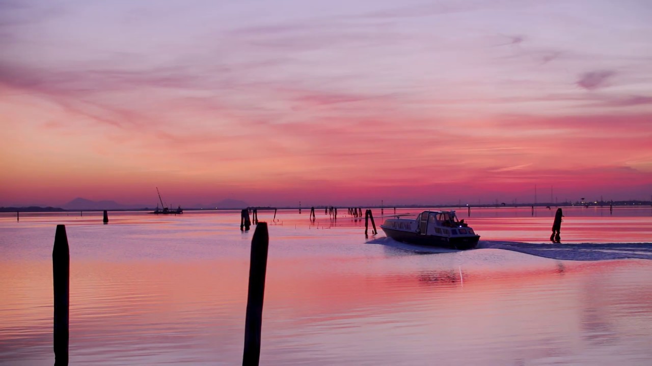 Citywire Venice 2019