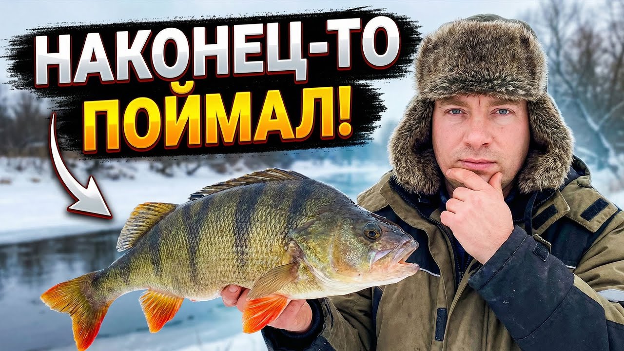 Настоящий трофей! Зимняя рыбалка удалась на славу: такого улова я не ожидал!