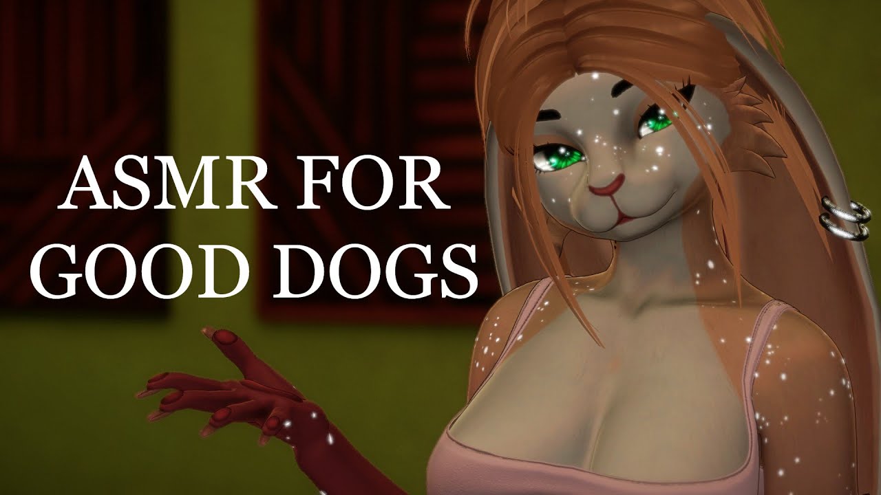 ASMR | ONLY FOR GOOD DOGS~ [Personal attention/ Praise/ 