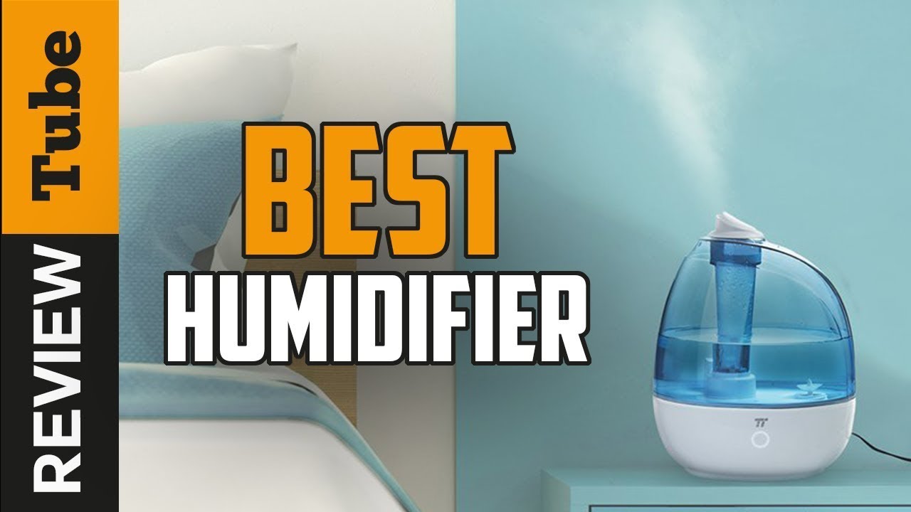 ✅ Humidifier: Best Humidifier 2022 (Buying Guide)